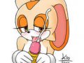 toon_1239749941639s_170102_-_Cream_the_Rabbit_Kio_SEGA_Sonic_Team_Sonic_The_Hedgehog.jpg